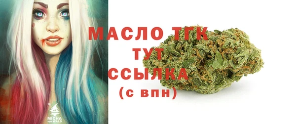 стаф Семилуки