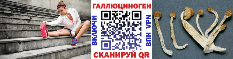 даркнет сайт  Семилуки  Псилоцибиновые грибы GOLDEN TEACHER 